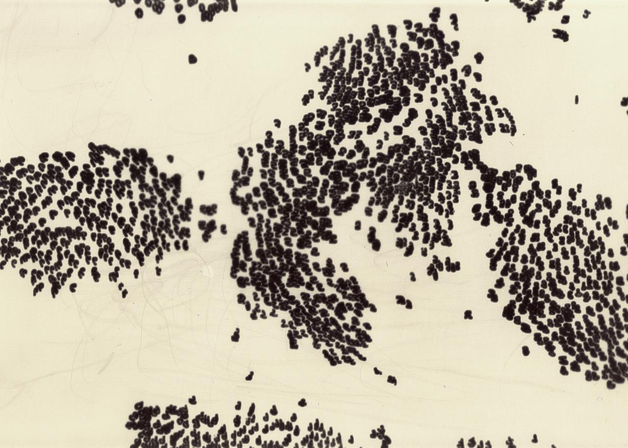 Black handwritten digits form map-like clusters on a pale background in a spatial visualization of a dataset.